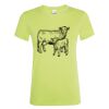 SOL'S Ladies Regent T-Shirt Thumbnail